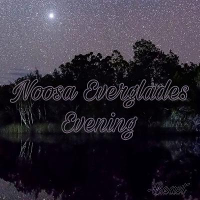 Noosa Everglades Evening