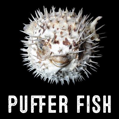 Puffer Fish - The Poisoncast #05