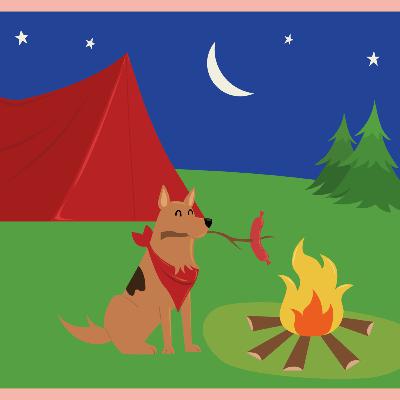 E13: ¿Cómo hacer camping con mi Doggy? E13: ¿Cómo hacer camping con mi Doggy?