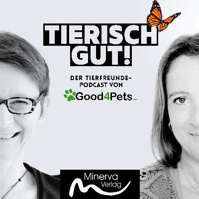 Der Miau-Code – Katzen verstehen (6) - "Grau im Fell, stark im Charakter"