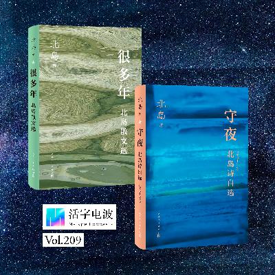 年纪轻轻的我怎么就跟北岛产生了火花？