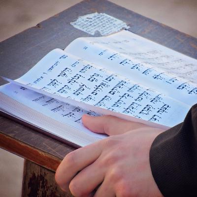 Lobt und preist die herrlichen Taten des Herrn (EG 429) Lobt und preist die herrlichen Taten des Herrn (EG 429)