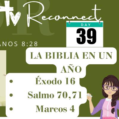 LA BIBLIA EN UN AÑO - DÍA 39: 6 maneras para poder superar las tempestades de la vida  - Reflexión