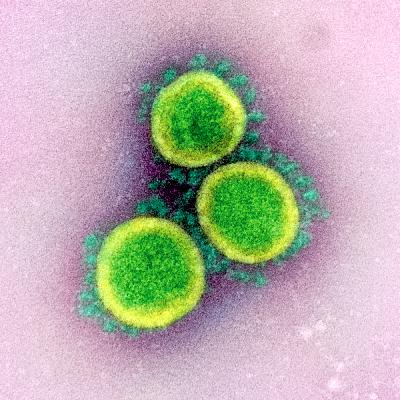 Koronawirus. Internistka radzi, jak sobie pomóc w obliczu choroby Koronawirus. Internistka radzi, jak sobie pomóc w obliczu choroby