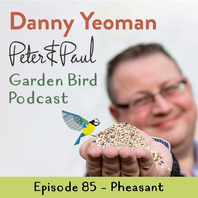 Peter & Paul British Garden Bird Podcast - Pheasant