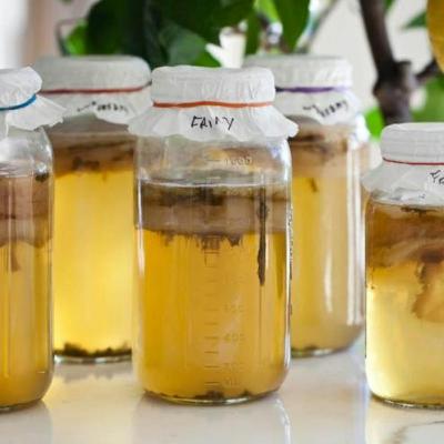 Fizzy yet healthy- Kombucha!