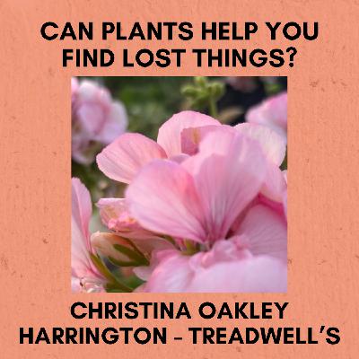 Episode 347: Can Plants Help You Find Lost Things?