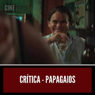 Papagaios