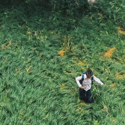 【邂逅时节-小暑】夏日叙事曲:消夏美食、关于夏天的爱与友谊 【邂逅时节-小暑】夏日叙事曲:消夏美食、关于夏天的爱与友谊