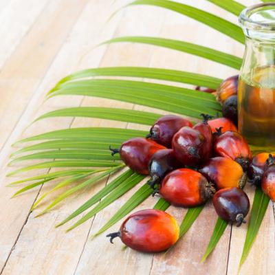 Nigeria is, as you know, all about oil. It’s also about ‘palm oil’ Nigeria is, as you know, all about oil. It’s also about ‘palm oil’