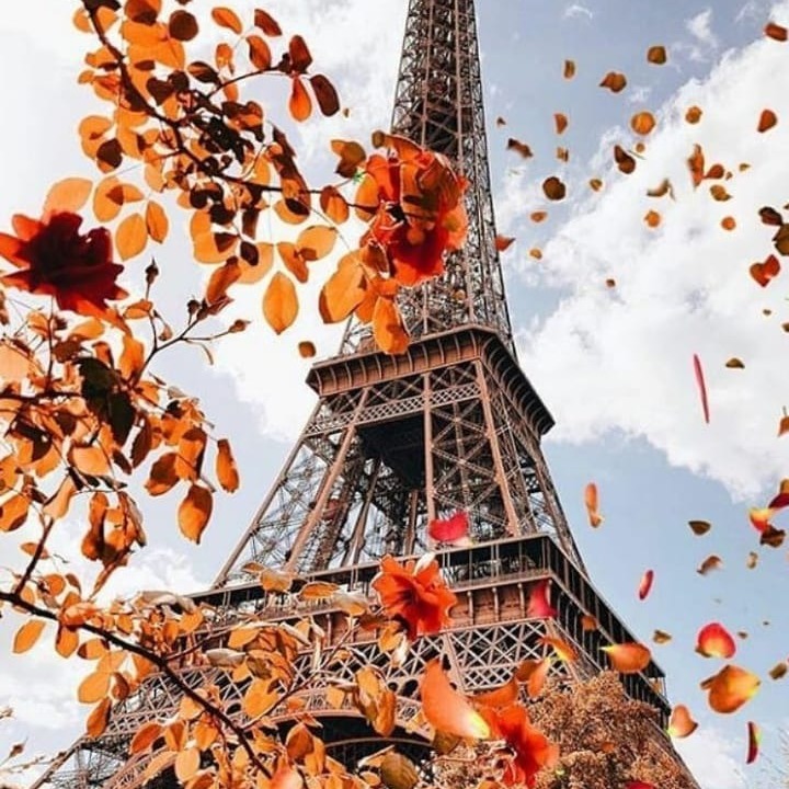 Mistake Fares & Cheap Flight Alerts | Jetsetter Alerts