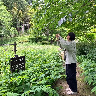 内田聖良インタビュー前編 - サーキット・ベンディングってなんですか