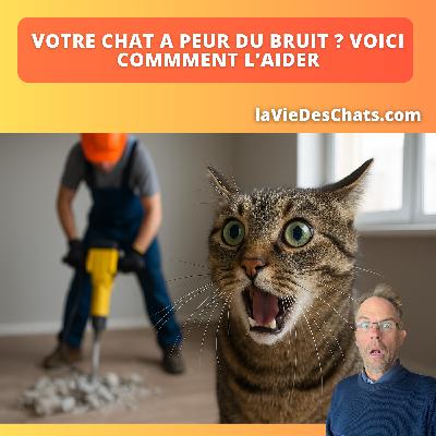 BRUITS DE FÊTE OU DE TRAVAUX : 5 RÉFLEXES POUR PROTÉGER VOTRE CHAT DU STRESS