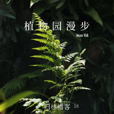 Vol.18｜深圳仙湖植物园声音漫步，遇见生命的另一种节奏