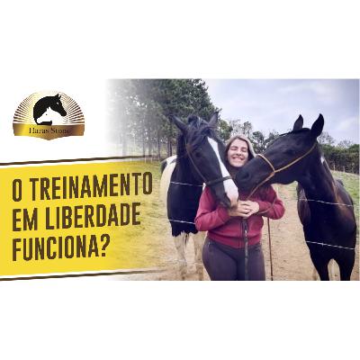 O TREINAMENTO EM LIBERDADE FUNCIONA? | Haras Stone #011