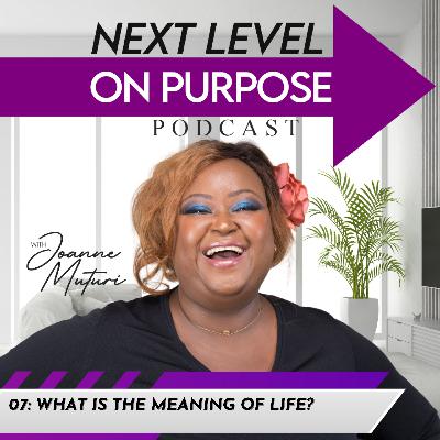 07: What is the meaning of life?