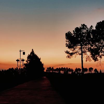 收集秋天的快乐，拥抱属于自己的能量场！