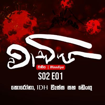 කොරෝනා, IDH, වැස්ස සහ ඩෙංගු