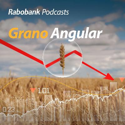 Granos, pecuarios, lluvias, geopolítica y más Granos, pecuarios, lluvias, geopolítica y más