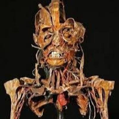 Honoré Fragonard, anatomía revolucionaria.