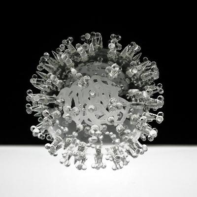 אז למה לי וירולוגיה עכשיו? - פרופסור ידידיה גפני מדבר הרבה על וירוסים וקצת על קורונה