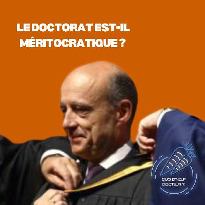 Q9D15 - Le doctorat est-il méritocratique ? feat l'Observatoire des Violences Sexistes et Sexuelles dans l'enseignement supérieur (1ère partie) Q9D15 - Le doctorat est-il méritocratique ? feat l'Observatoire des Violences Sexistes et Sexuelles dans l'enseignement supérieur (1ère partie)