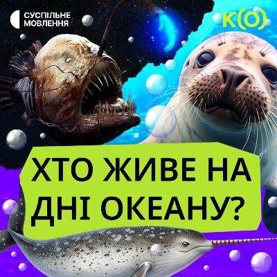 Про морську корову, єдинорога та риб, які світяться | ТА НЕВЖЕ?