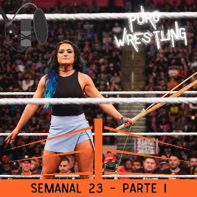Semanal #23 Parte I: Previa de WWE Summerslam