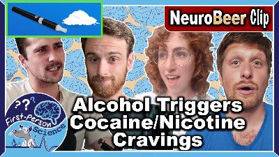 Brain Opioids & Dopamine, Differences In Liking vs Wanting Addictive Drugs || NeuroDrugs Clip