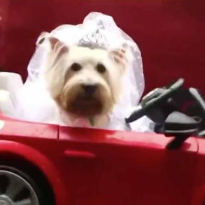 Física: Física moderna, electro, etc... part. 2