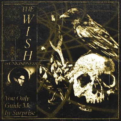 The Wish for Unkindness