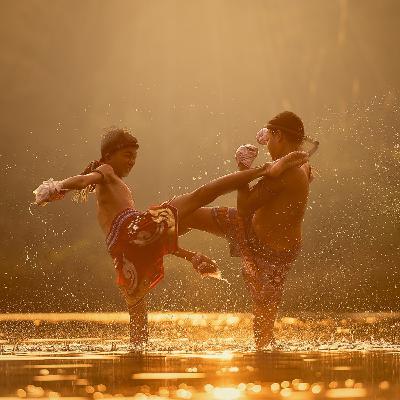 Artes marciales - Cultura pop