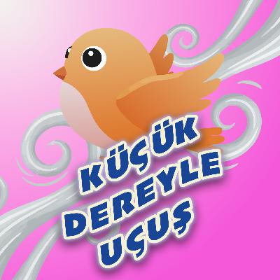 MİNİK KUŞ'UN GÜNLÜĞÜ: KÜÇÜK DEREYLE UÇUŞ - UYKU ÖNCESİ MASAL VE NİNNİ