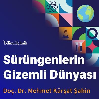 Hayvanlar Aleminin Gizemli Canlıları Sürüngenleri Daha Yakından Tanıyalım
