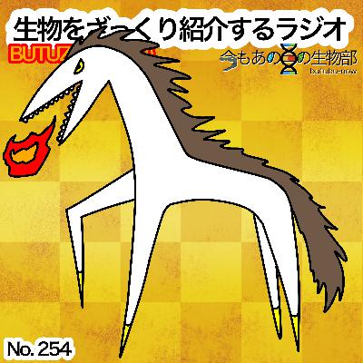 第54話−A:🌅「2026年に関係ある、太古は兵器として、今はヒトの癒しにもなっている生き物」をざっくり紹介 第54話−A:🌅「2026年に関係ある、太古は兵器として、今はヒトの癒しにもなっている生き物」をざっくり紹介