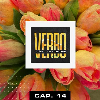 VERBO - Capítulo 14