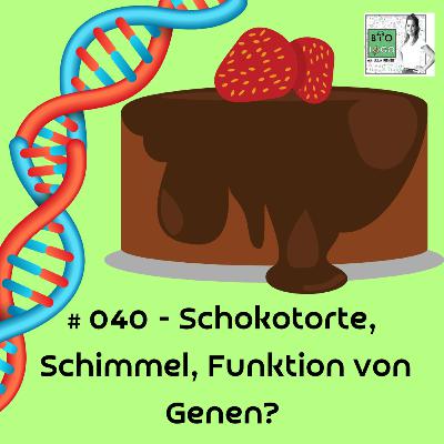 #040 - Schoko, Schimmel, Gene? - Die Funktion von Genen | Beadle & Tatum | Mangelmutanten