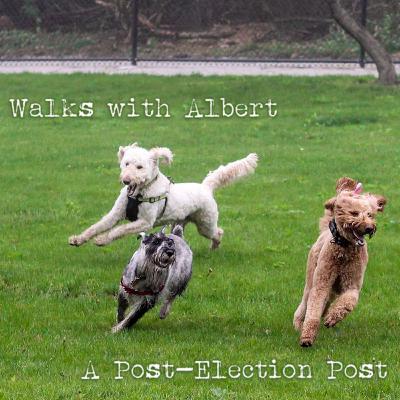 A Post-Election Post