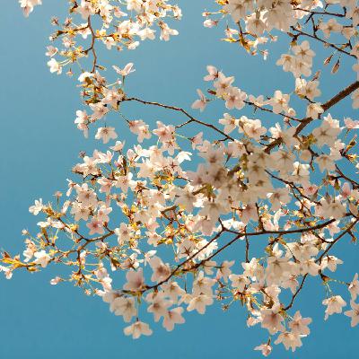 Cierra la puerta - Es abril, deja la música sonar - 09/04/23