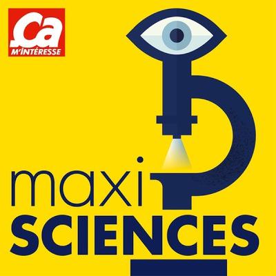 Maxiscience // Un séquoia de 3000 ans menacé par les flammes à Yosemite et la plus grande Super Lune de 2022 Maxiscience // Un séquoia de 3000 ans menacé par les flammes à Yosemite et la plus grande Super Lune de 2022