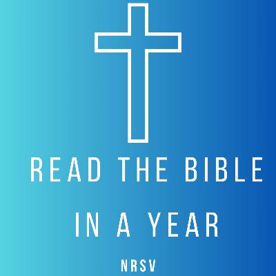 Read the bible in a year NRSV.  Day 26 – The book of Exodus chapters 25, 26 and 27