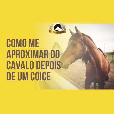 COMO ME APROXIMAR DO CAVALO DEPOIS DE UM COICE | Haras Stone #17