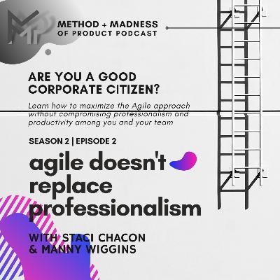 S2 E2 Agile Doesn't Replace Professionalism