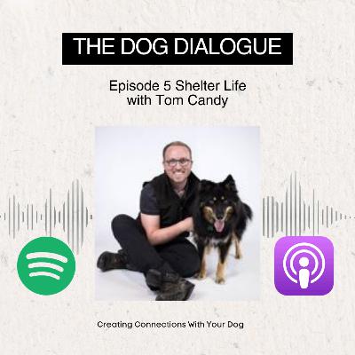 Shelter Life with Tom Candy