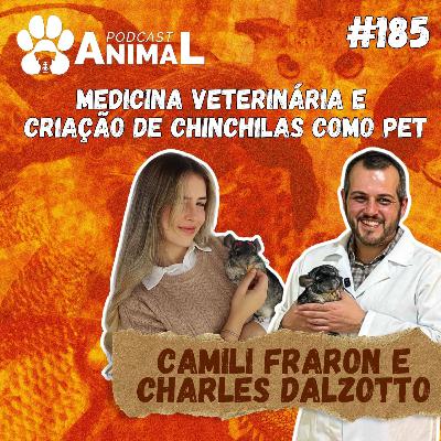 Podcast Animal 185 - Medicina veterinária e criação de CHINCHILAS como pet com Camili Fraron e Dr. Charles Dalzotto