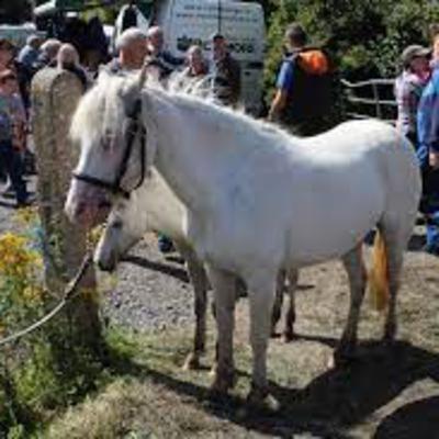 The ancient Fair of Muff, Co Cavan