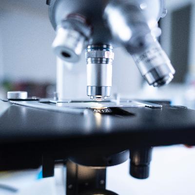 Celuloterapia la medicina del futuro Celuloterapia la medicina del futuro