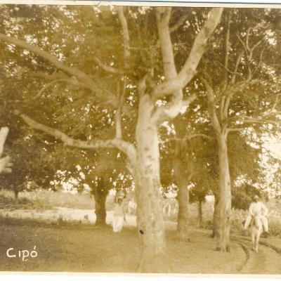 Impressões de uma Viagem às Caldas do Cipó - Início da Viagem