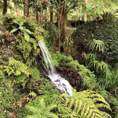 Ep 43: Intentional Conception with Fertility Awareness