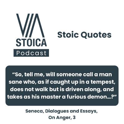 Stoic Quote: Seneca on Anger as Momentary Madness Stoic Quote: Seneca on Anger as Momentary Madness